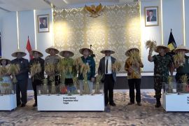 Jelang Nataru, BI Papua gelar pasar murah jaga stabilitas harga pangan