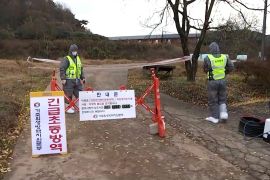 Korea Selatan keluarkan peringatan wabah demam babi Afrika