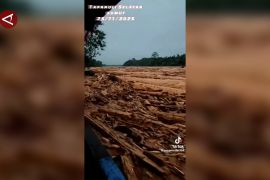 Pratikno: Isu alih fungsi lahan di Sumut dibahas usai tanggap darurat