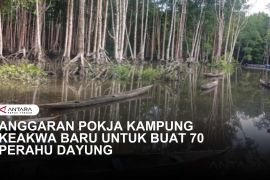 POKJA KAMPUNG KEAKWA BARU BUAT 70 PERAHU DAYUNG UNTUK WARGA