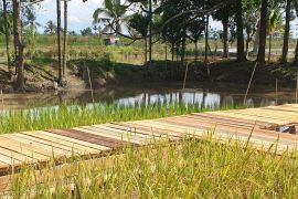 Korem Gapo bantu cetak sawah rakyat 6.200 ha di Sumsel