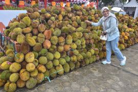 Setelah lama dinanti, durian beku Indonesia tiba di pasar China