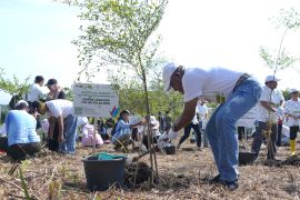 PLN Kalselteng-PLN Group perkuat penghijauan di Tahura Sultan Adam