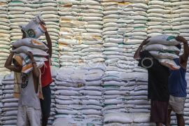 Bulog doubles rice stock in Sumatra to support disaster response