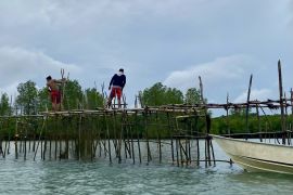 Diskan Batam catat hasil ekspor ikan hingga September naik 24,5%