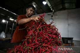 Kenaikan harga cabai merah, kacang panjang dan bawang merah picu inflasi Jateng