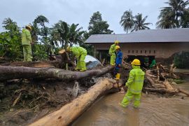 ESDM: Listrik di Sumbar mulai pulih, Sumut dan Aceh masih terputus