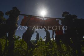 Evakuasi korban banjir bandang Palembayan