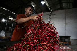 Harga cabai rawit merah capai Rp70.500 per kg, harga telur ayam ras Rp32.250 per kg