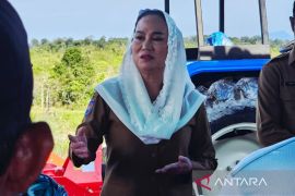 Pemkab Natuna sediakan lahan untuk pengembangan kelapa dari Kementan