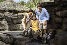 Bali Magical Adventure - Marine Safari Bali Brings a New Wave of Ocean Discovery to Southeast Asia