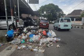 300 ton sampah menumpuk di Bukittinggi, Pemkot tunggu diskresi Menteri Lingkungan Hidup
