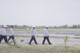 Indonesia to use idle lands for inmates empowerment