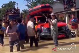 Viral ibu amuk tim SAR, Basarnas sebut ada evakuasi lain lebih penting