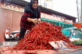 Belanja MBG Provinsi Bengkulu hingga akhir November capai Rp88 miliar