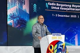 Danantara ungkap peluang RI menangi lelang kampung haji di Makkah