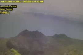 Gunung Ile Werung naik status dari level Normal ke Waspada