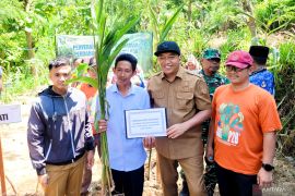 Situbondo alokasikan Rp64 juta pengadaan bibit kapulaga untuk petani