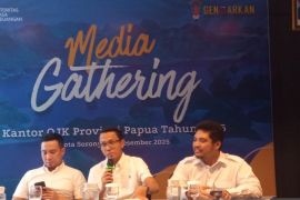 OJK Papua sebut aset perbankan naik 5,25 persen mencapai Rp106 triliun