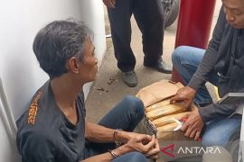 Pengedar ganja 4,6 kg di Cengkareng ditangkap polisi