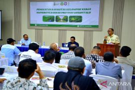 BPDAS Bone Limboto lakukan penguatan kelompok kerja Mangrove