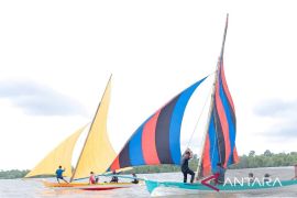 Festival Sampan Layar di Meranti siap digelar, 25 tim dari dua kabupaten akan berlaga