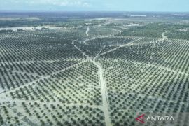 Menyelamatkan PAD dari "kebocoran" Pajak Air Permukaan di industri sawit