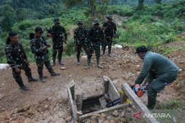 Indonesian academic urges tough action on illegal forest mining