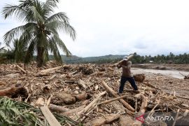 Govt forms task force to trace flood-swept timber origin in Sumatra