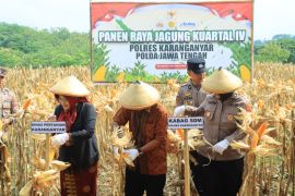 Polres Karanganyar panen jagung kuartal IV, dorong ketahanan pangan dan ekonomi desa
