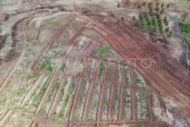 Pemkab Sigi: Tanam perdana cetak sawah baru mulai akhir tahun 2025