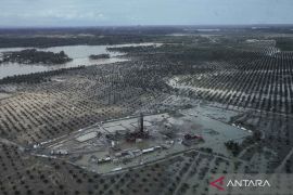 Begini pemandangan dari udara kebun sawit di Aceh masih terendam banjir