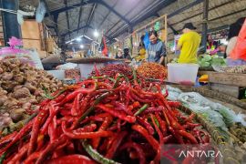 Realisasi kredit perbankan di PBD mencapai Rp9,4 triliun