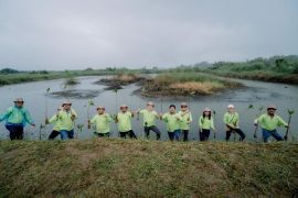 BNCT rehabilitasi 22 hektare lahan sawit jadi kawasan mangrove