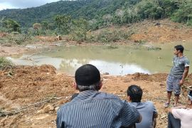 BPBD: Pencarian korban longsor di Talamau belum membuahkan hasil