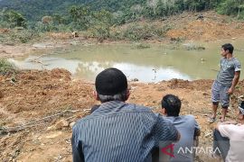 BPBD: Pencarian korban tertimbun longsor Talamau belum temukan hasil