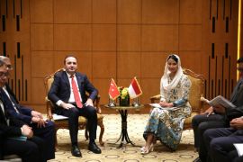 Wamendag dorong fleksibilitas perdagangan RI-Turki