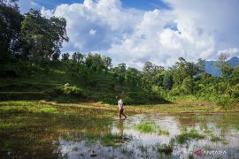 Upaya pangkas jarak distribusi pupuk ke petani