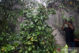 Kehutanan penopang ketahanan pangan di tengah perubahan lingkungan global