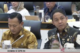 Kemenhut: 12 perusahaan terindikasi berkontribusi picu banjir Sumatera