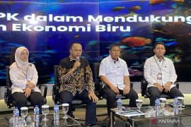 KKP hitung kerugian tambak garam di Aceh yang terdampak banjir