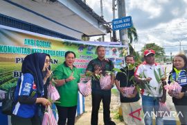 Komunitas Papua Green bagikan 1.000 bibit pohon gratis