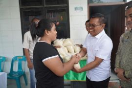 Bapanas percepat penyaluran bantuan pangan korban banjir di Sumut