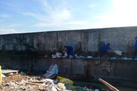 Kadis SDA tinjau tiga titik utama sumber rembesan limpasan banjir rob