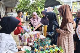Kalsel kemarin dari optimalisasi lahan hingga inovasi UMKM