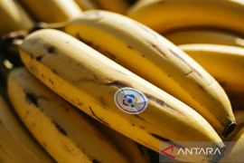 Pengguna Nano Banana di Indonesia hasilkan 18 juta gambar per hari