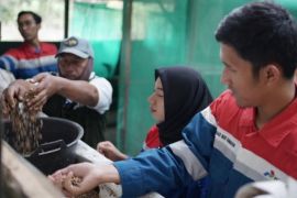 PHE bersama warga Desa Makartitama OKU wujudkan lingkungan hijau dan mandiri melalui Kompas Lestari