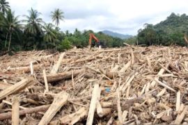 Kayu gelondongan banjir Sumatera indikasi libatkan manusia
