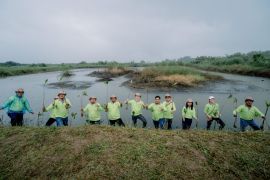 YEAH Foundation inisiasi rehabilitasi mangrove seluas 22 HA di DAS Sungai Belawan