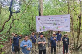 ANTARA Jambi-Pemkab Tanjab Barat tanam mangrove di Pangkal Babu